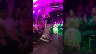 İspanya Çingene Eğlenceleri Resimi