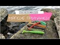 🎥 Мягкие приманки под водой! Съедобная резина!