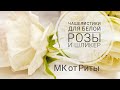 Чашелистики двухцветные для розы.МК от Риты. Sepals two-color for a rose tutorial by Rita.