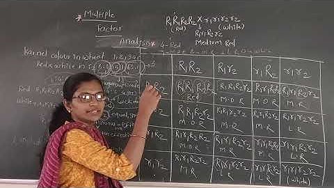 multiple factor analysis