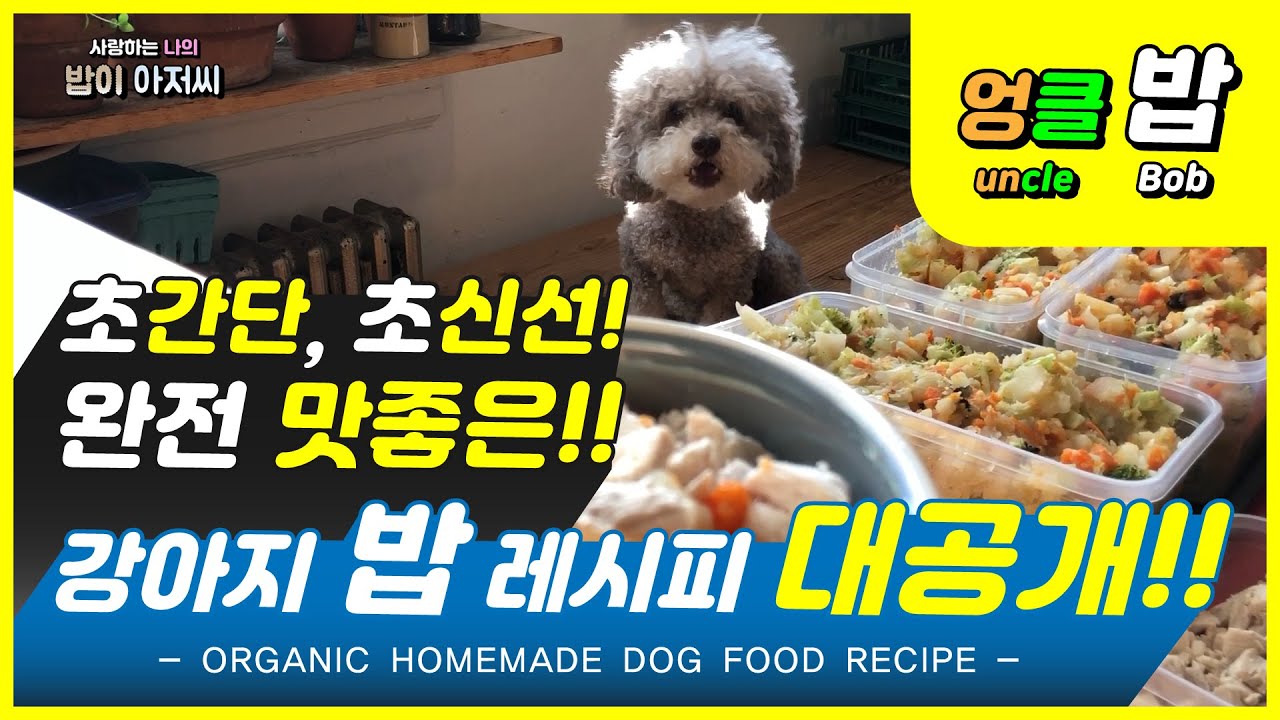 Best Organic Homemade Dog Food