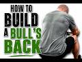 HOW TO BUILD A BULL'S BACK | Back Day #21 | Ahilej Gym Belgrade