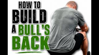 HOW TO BUILD A BULL'S BACK | Back Day #21 | Ahilej Gym Belgrade