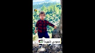 قوات الاحتلال الإسرائيلي تقتل #الطفل الفلسطيني الرضيع محمد التميمي باستخدام الرصاص المتفجر.