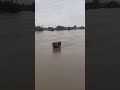 PS I, ponni nathi... river with fill fledge water... #water ,#river ,#flood #ponninadhi #dangerous