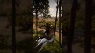 My horse tried to 50/50 grind #rdr2
