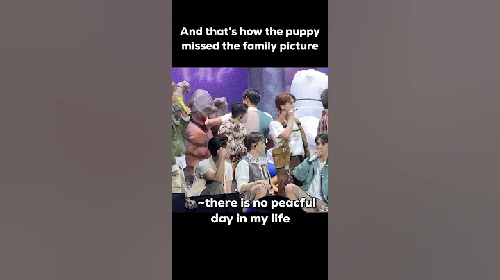 Another peaceful day of Seventeen😅#kpop #seventeen #세븐틴 #joshua #dokyeom #mingyu #dk #seokgyu#svt