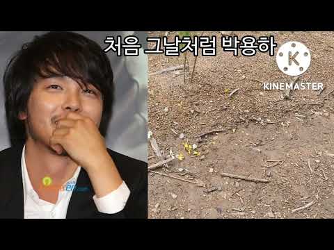 처음 그날처럼 박용하