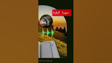 سورة البقرة #الجزائر #السعودية #القرآن_الكريم #المغرب #اليمن #مصر #ليبيا