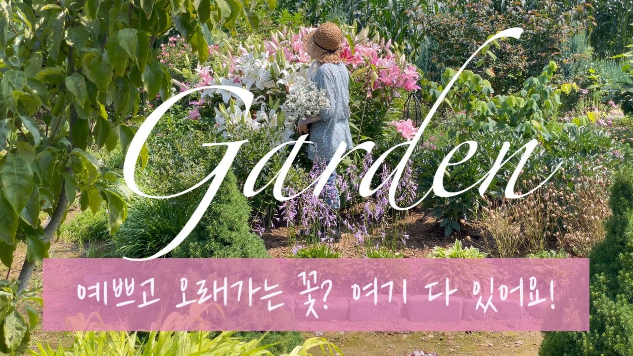 [Garden] 예쁘고 오래가는 꽃을 찾으시나요? 여기 있어요! | 정원 한가운데 피어난 거대 꽃다발, 가드닝, 초화류, 꽃추천