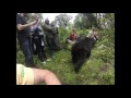 Rwanda Gorilla Trek May 2017  Film