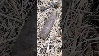 Ну вот, бывают и такие находки неприятные #metaldetecting