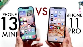 iPhone 13 Mini Vs iPhone 11! (Comparison) (Review) 