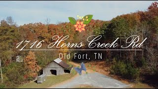 1716 Horns Creek Rd video tour