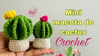 Mini maceta 🪴🌵 CACTUS 🌵💕 crochet ❤️🧶