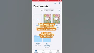 GoodNotes. Back up your planners, projects & Journals in iCloud.