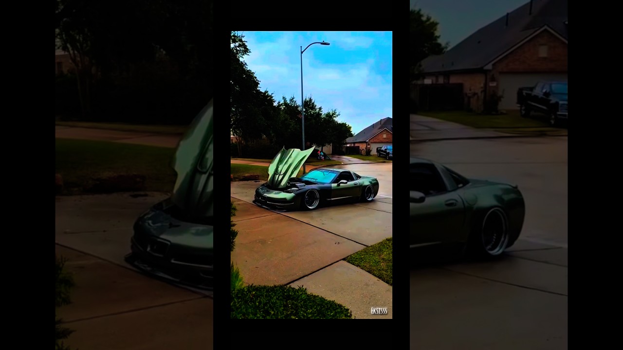 Super cars 🐈‍⬛