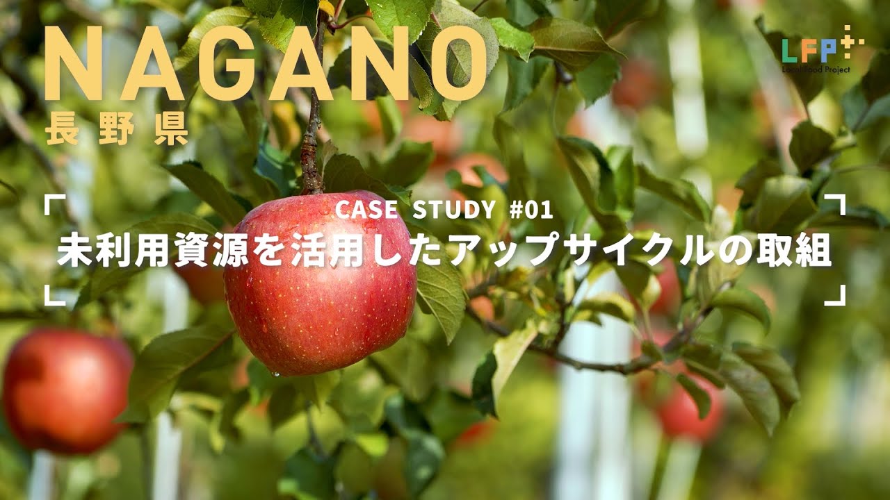 棄てられるはずの摘果リンゴを食用利用 2025年は約80t集荷、加工品への