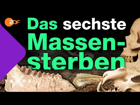 Wie wir das