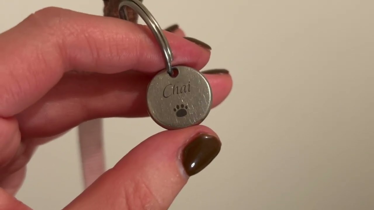 Acatinthetree steel dog tags from Amazon review