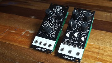 Kit Overview # 43 - Leaf Audio  VCO-1+ EXP-1 Build Video