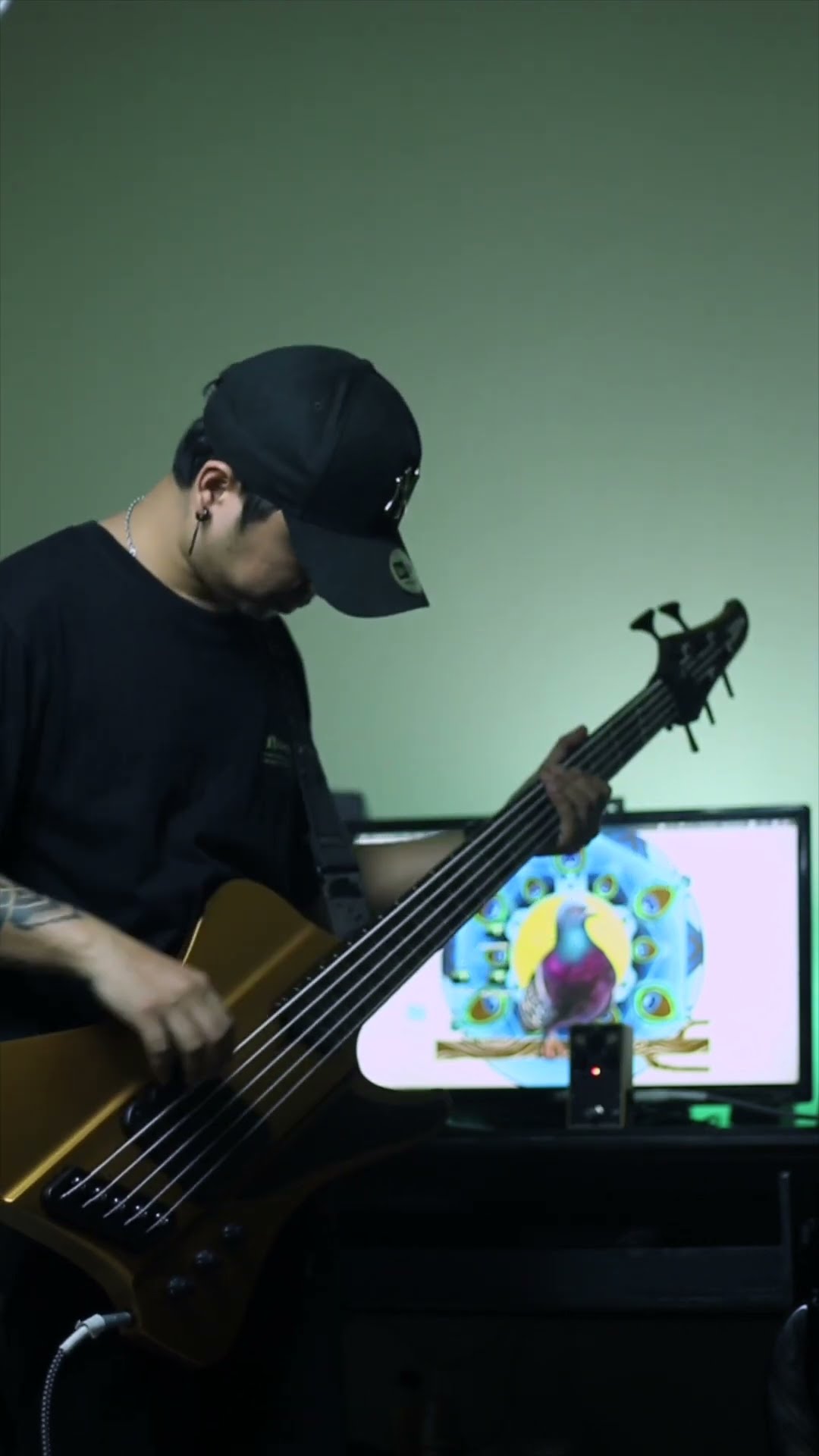 Dingwall x Darkglass 35th Anniversary Pedal - YouTube