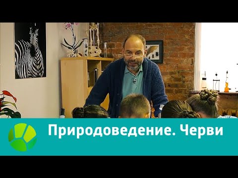 Природоведение. На разделе сред | Живая Планета