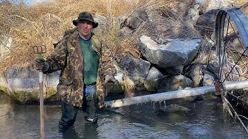 Muskrat trapping feedbed check. Day #1