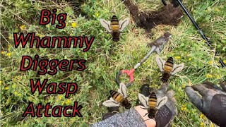 Big Whammy Diggers Short - Wasp Attack