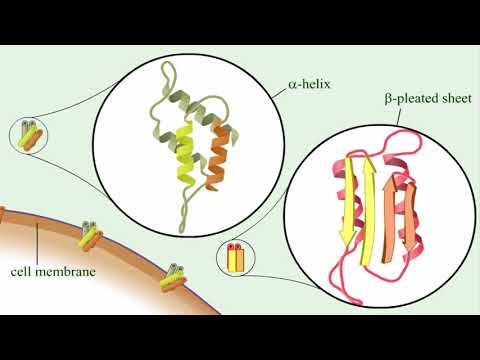 Video: Natürliche Und Pathogene Variation Der Proteinsequenz, Die Prionähnliche Domänen Innerhalb Und Zwischen Menschlichen Proteomen Beeinflusst