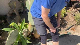 My knee braces for running and workouts #ad