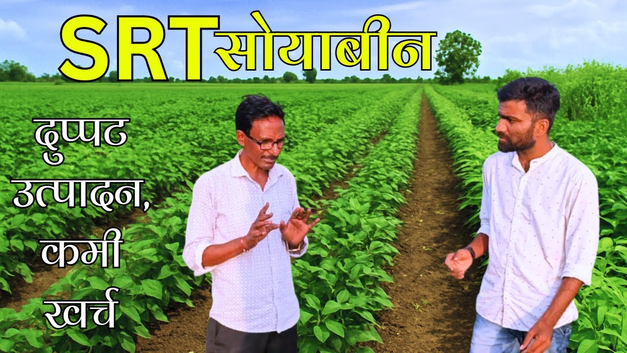 Zero-Tillage farming  Soyabean SRT | शून्य मशागत सोयाबीन शेती | Two Indian Farmers