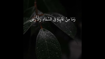 تلاوة خاشعة بصوت اسلام صبحي | وَإِنَّ رَبَّكَ لَيَعْلَمُ مَا تُكِنُّ صُدُورُهُمْ وَمَا يُعْلِنُونَ