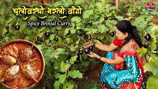 Spicy Brinjal Curry | भरलेली वांगी | Stuffed Baingan Masala | Village Cooking | Red Soil Stories