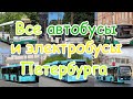 Все автобусы и электробусы Санкт-Петербурга.