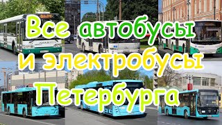 Все модели автобусов и электробусов Санкт-Петербурга