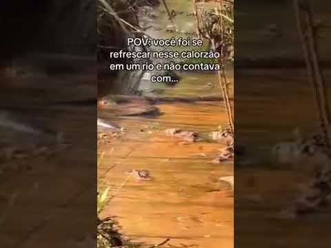 VÍDEO: Cobra gigante surpreende grupo de turistas em rio