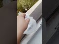 24 сентября 2024 г.