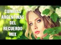 Cumbias Argentinas Del Recuerdo Mix ✔️ Amar Azul, Organización X, Sonido Mazter, Gilda, Ráfaga, ...