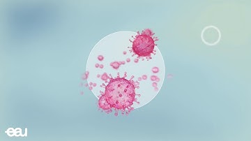 Coronavirus COVID-19 - Algemene informatie (Vlaams)