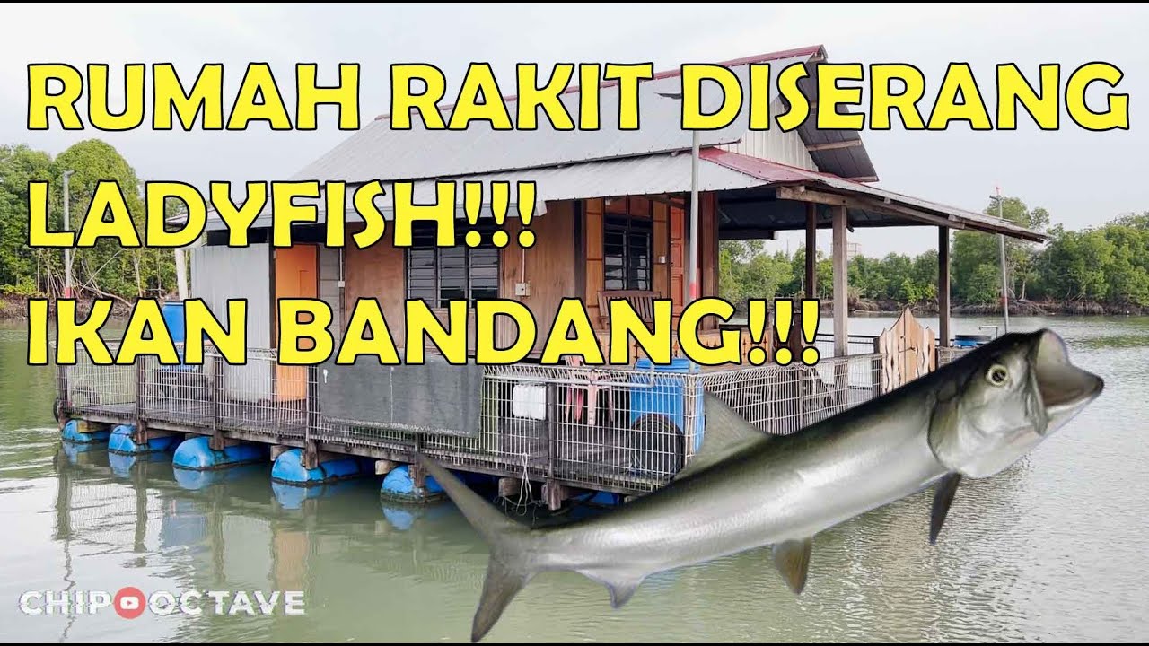 #RumahRakit - EP09 - Rakit Rantau Panjang, Klang - Kelong Santai family