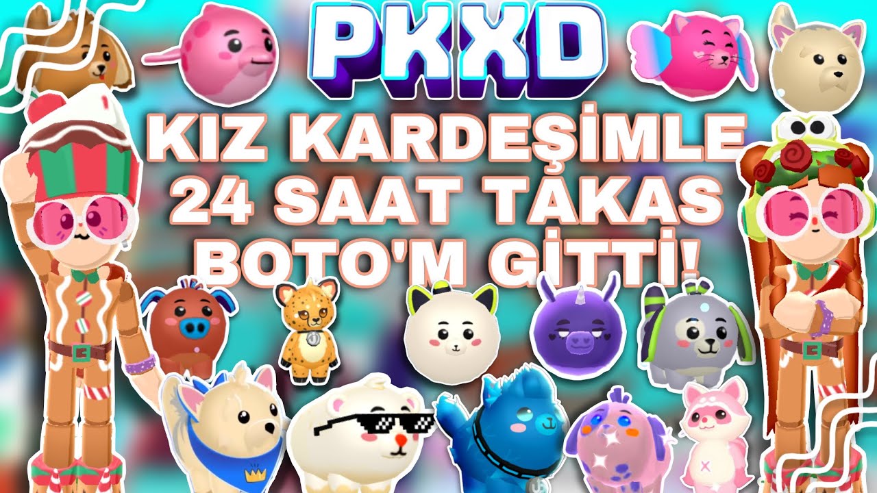 PK XD Numaralı Pet Takası! - Kuzenim Duru İle!! 