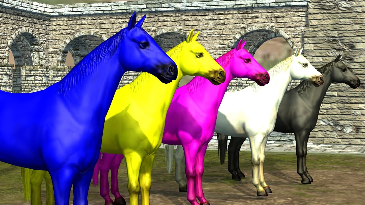 Colours Song For Kids Colour Horses Kids Rhymes Childrens Rhymes Tsp Kids Rhymes Youtube