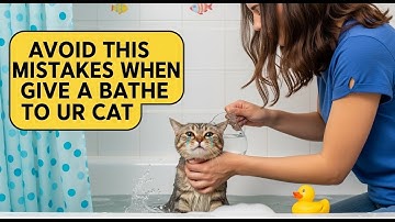 How to Bathe your Cat that Hates Water (8 Step Tutorial) | The Cat Butler