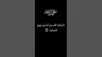 قرآن كريم بصوت فضيلة الشيخ محمد صديق المنشاوي