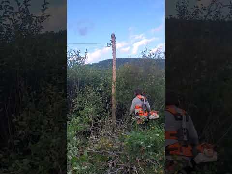 #stihl FS561C-EM 26-250