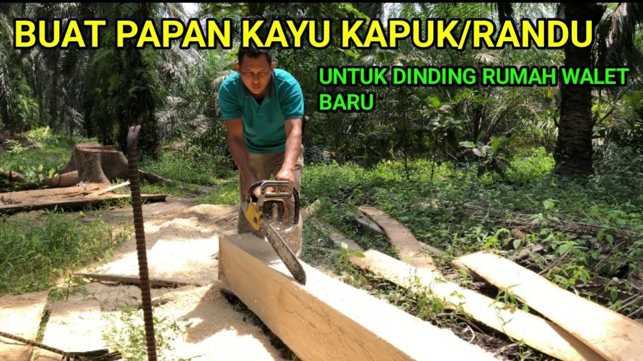 Papan dinding walet super ringan untuk rbw baru