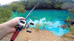 RARE Bass Caught In Urban Swimming Area -- (Austin Texas Fishing) 