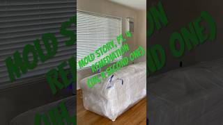 Mold Story Pt. 4: A second mold remediation effort is quickly scheduled after an air test! #mold