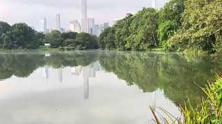 Pond In Central Park NYC - July 8, 2023